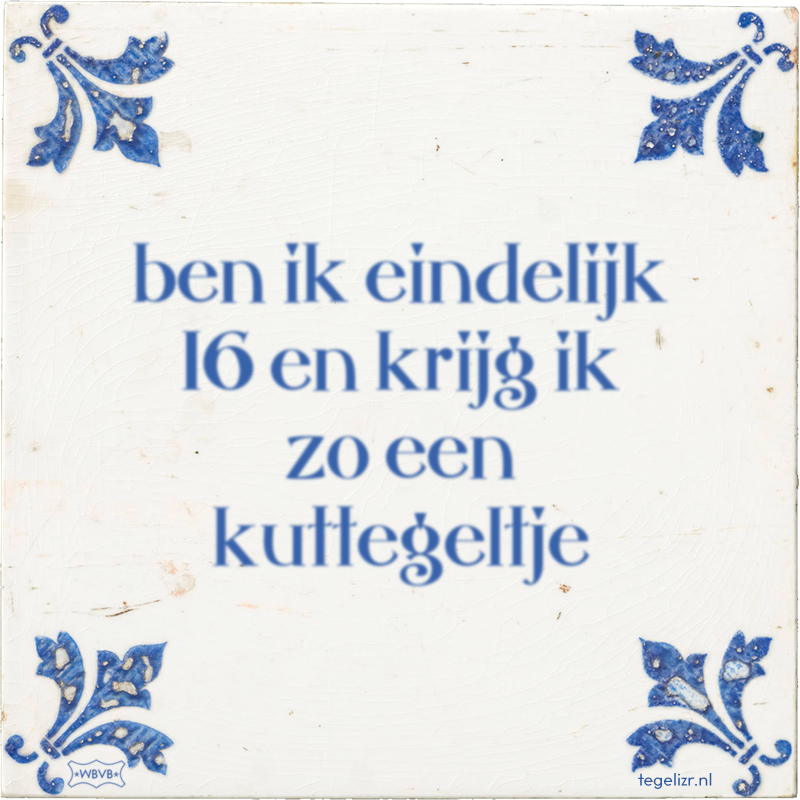 ben ik eindelijk 16 en krijg ik zo een kuttegeltje - Online tegeltjes bakken