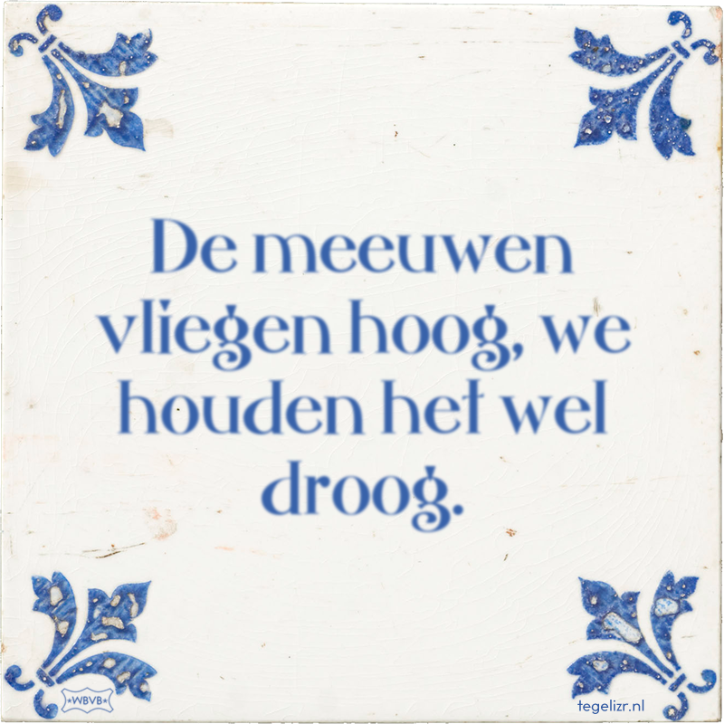 De meeuwen vliegen hoog, we houden het wel droog. - Online tegeltjes bakken