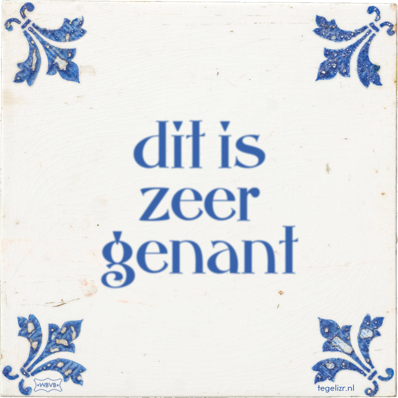dit is zeer genant - Online tegeltjes bakken