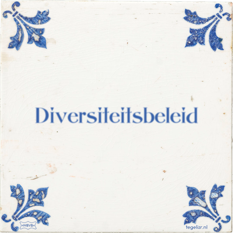 Diversiteitsbeleid - Online tegeltjes bakken