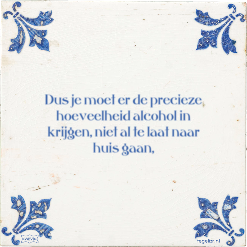 Dus je moet er de precieze hoeveelheid alcohol in krijgen, niet al te laat naar huis gaan, - Online tegeltjes bakken