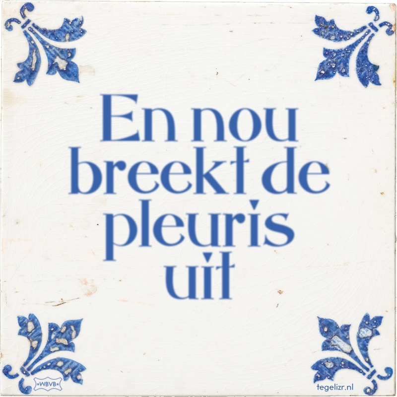 En nou breekt de pleuris uit - Online tegeltjes bakken