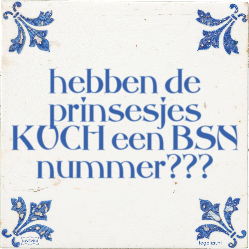 hebben de prinsesjes KUCH een BSN nummer??? - Online tegeltjes bakken