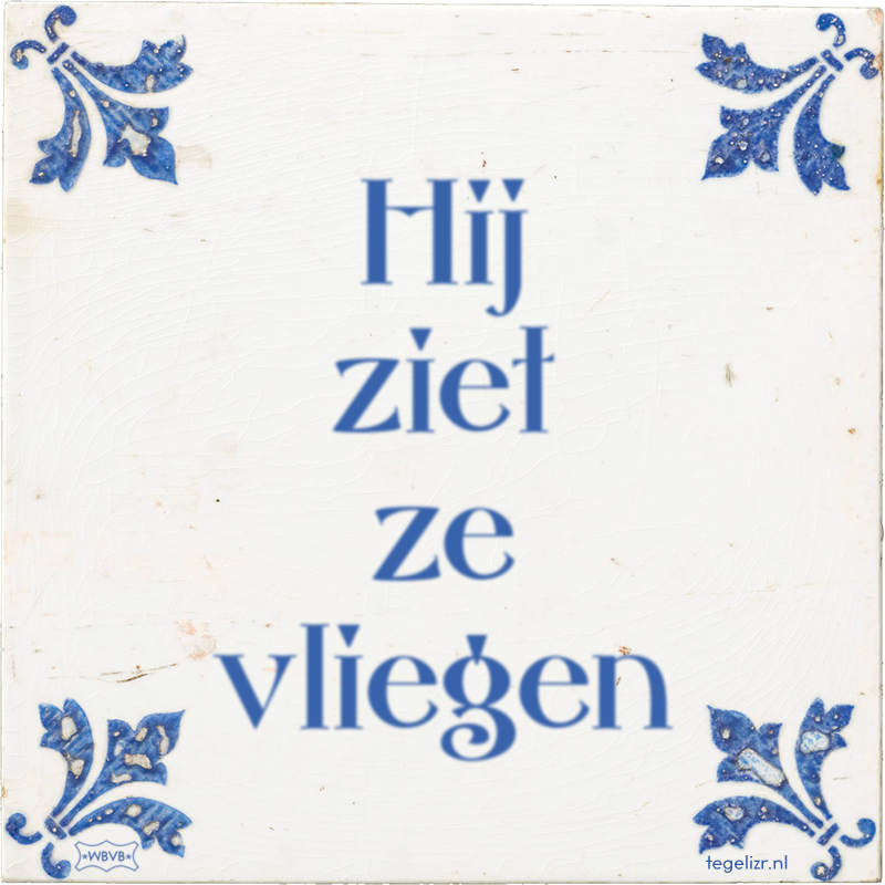 Hij ziet ze vliegen - Online tegeltjes bakken