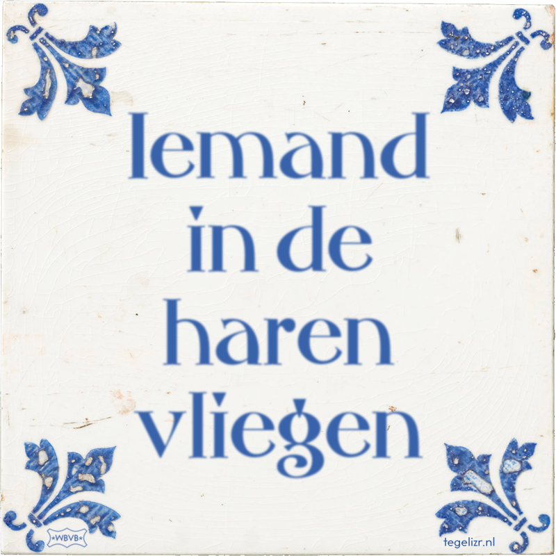 Iemand in de haren vliegen - Online tegeltjes bakken