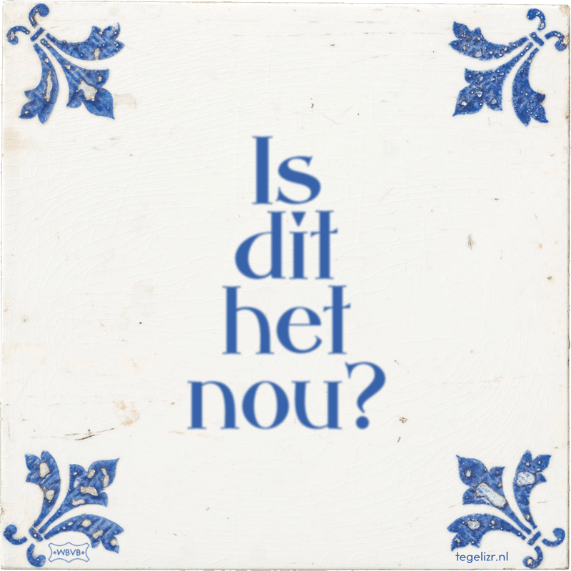 Is dit het nou? - Online tegeltjes bakken