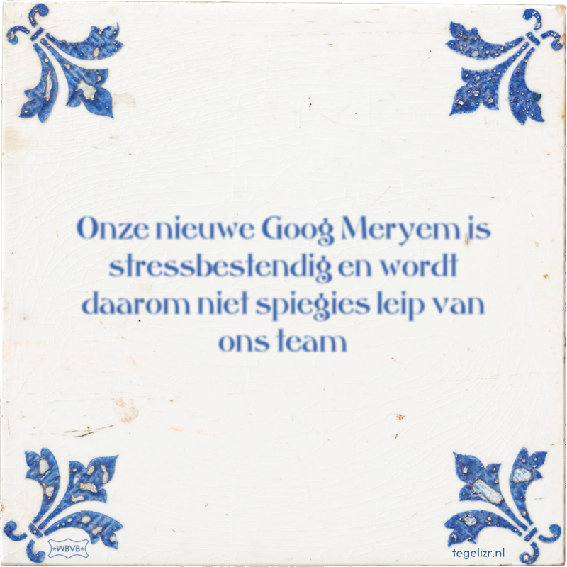 Onze nieuwe Goog Meryem is stressbestendig en wordt daarom niet spiegies leip van ons team - Online tegeltjes bakken