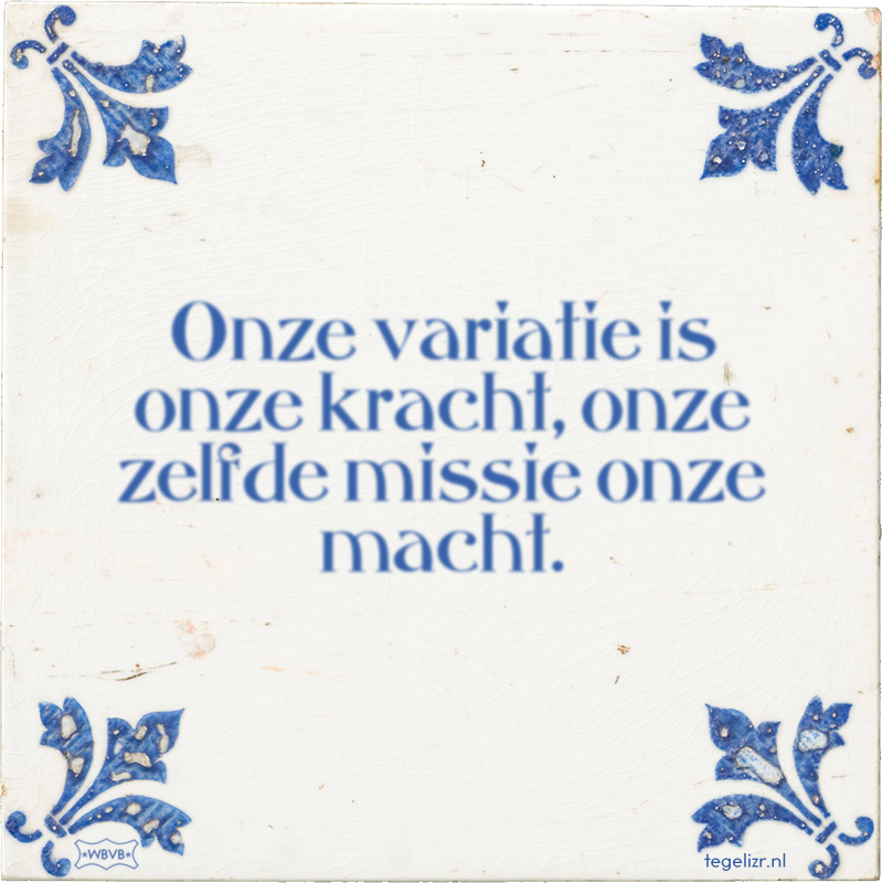 Onze variatie is onze kracht, onze zelfde missie onze macht. - Online tegeltjes bakken