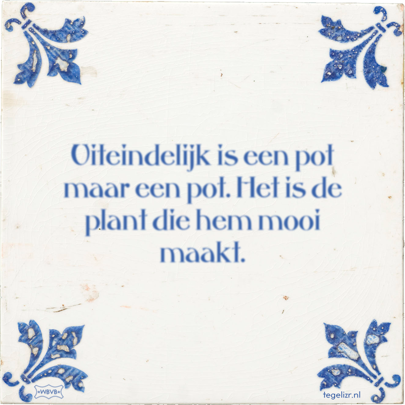 Uiteindelijk is een pot maar een pot. Het is de plant die hem mooi maakt. - Online tegeltjes bakken