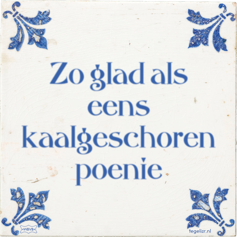 Zo glad als eens kaalgeschoren poenie - Online tegeltjes bakken