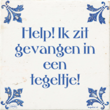 Help! Ik zit gevangen in een tegeltje! - 2 keer bekeken
