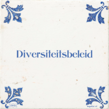 Diversiteitsbeleid - 24 keer bekeken
