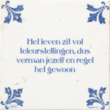Het leven zit vol teleurstellingen, dus verman jezelf en regel het gewoon - 9 keer bekeken