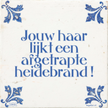 Jouw haar lijkt een afgetrapte heidebrand ! - 3 keer bekeken