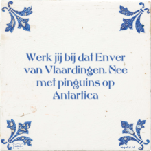 Werk jij bij dat Enver van Vlaardingen. Nee met pinguins op Antartica - 16 keer bekeken