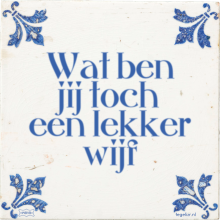 Wat ben jij toch een lekker wijf - 1 keer bekeken