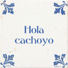 Hola cachoyo - 29 keer bekeken