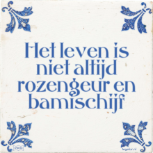 Het leven is niet altijd rozengeur en bamischijf - 4 keer bekeken
