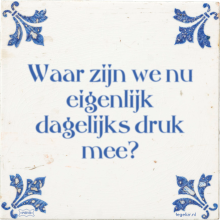 Waar zijn we nu eigenlijk dagelijks druk mee? - 37 keer bekeken