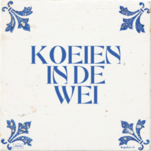 KOEIEN IN DE WEI - 10 keer bekeken