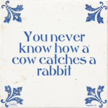 You never know how a cow catches a rabbit - 7 keer bekeken