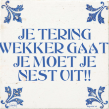 JE TERING WEKKER GAAT, JE MOET JE NEST UIT!! - 8 keer bekeken