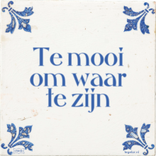Te mooi om waar te zijn - 29 keer bekeken