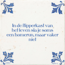 In de flipperkast van het leven sla je soms een homerun, maar vaker niet - 19 keer bekeken