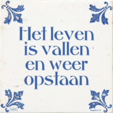 Het leven is vallen en weer opstaan - 11 keer bekeken