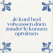Je kunt heel volwassen doen zonder te kunnen opruimen - 2 keer bekeken