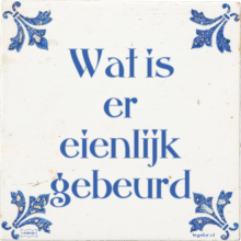 Wat is er eienlijk gebeurd - 11 keer bekeken