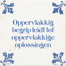 Oppervlakkig begrip leidt tot oppervlakkige oplossingen - 33 keer bekeken