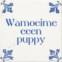 Wamoeime eeen puppy - 2 keer bekeken