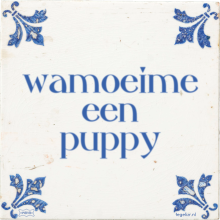 wamoeime een puppy - 6 keer bekeken
