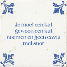 Je moet een kat gewoon een kat noemen en geen cavia met snor - 103 keer bekeken