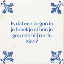 Is dat een jargon in je broekje of ben je gewoon blij me te zien? - 38 keer bekeken