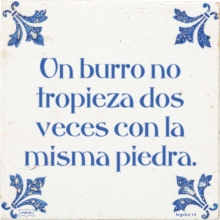Un burro no tropieza dos veces con la misma piedra. - 1 keer bekeken